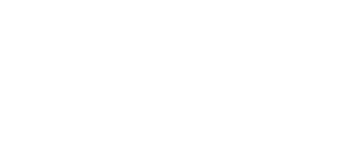 IBM-1