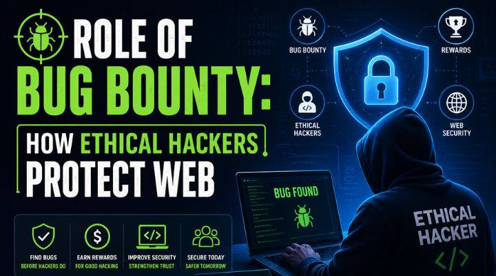 Bug Bounty in Cybersecurity