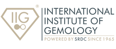 IIG_logo