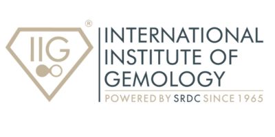 IIG Partnership Logo